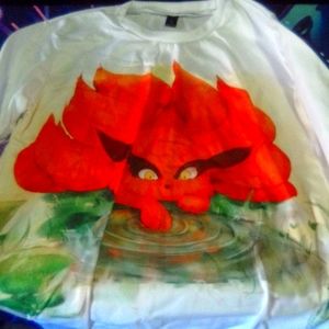 It's a shirt for guy or girl maybe unisex Pokemon